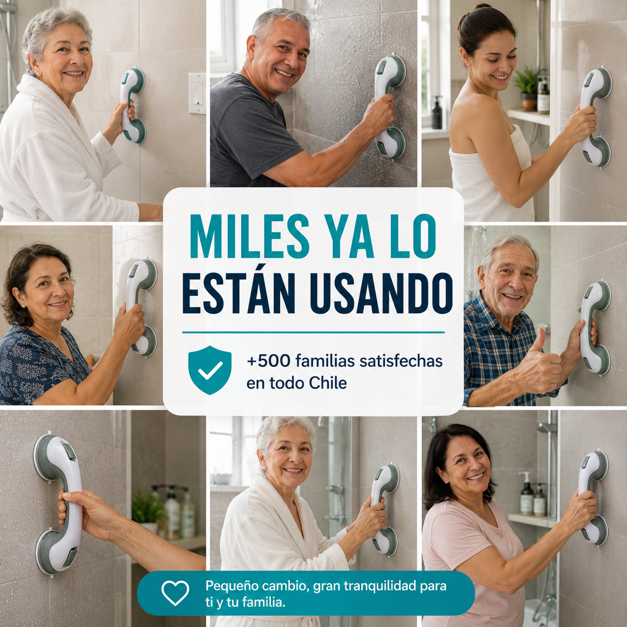 Manilla seguridad con ventosa doble (™) transportable